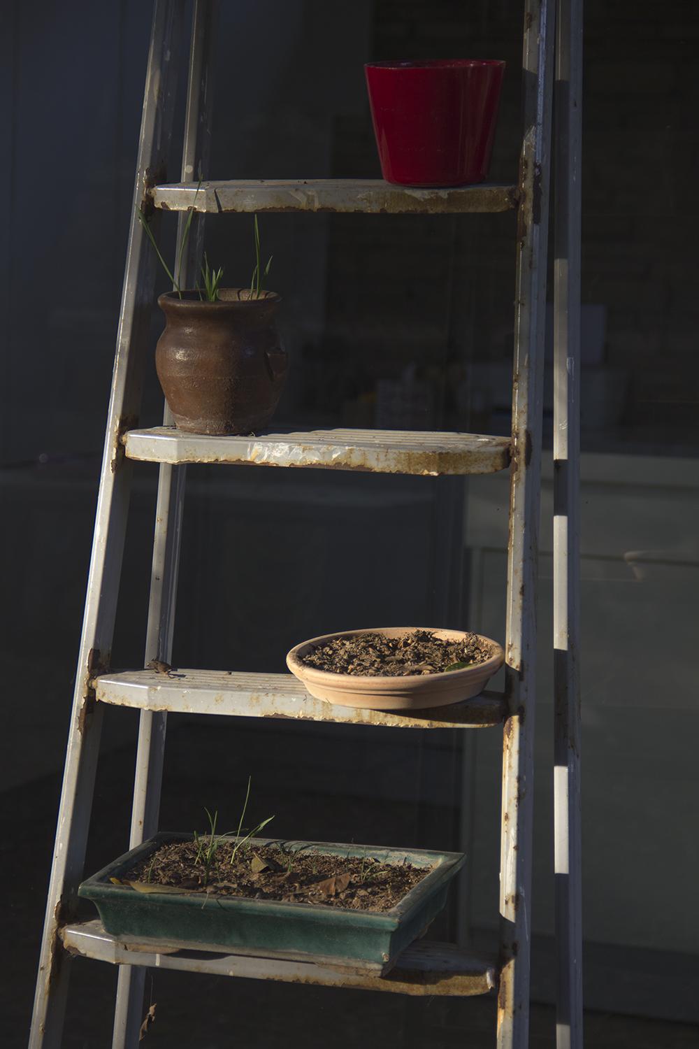 Residents S01: Stories in the Greenhouse