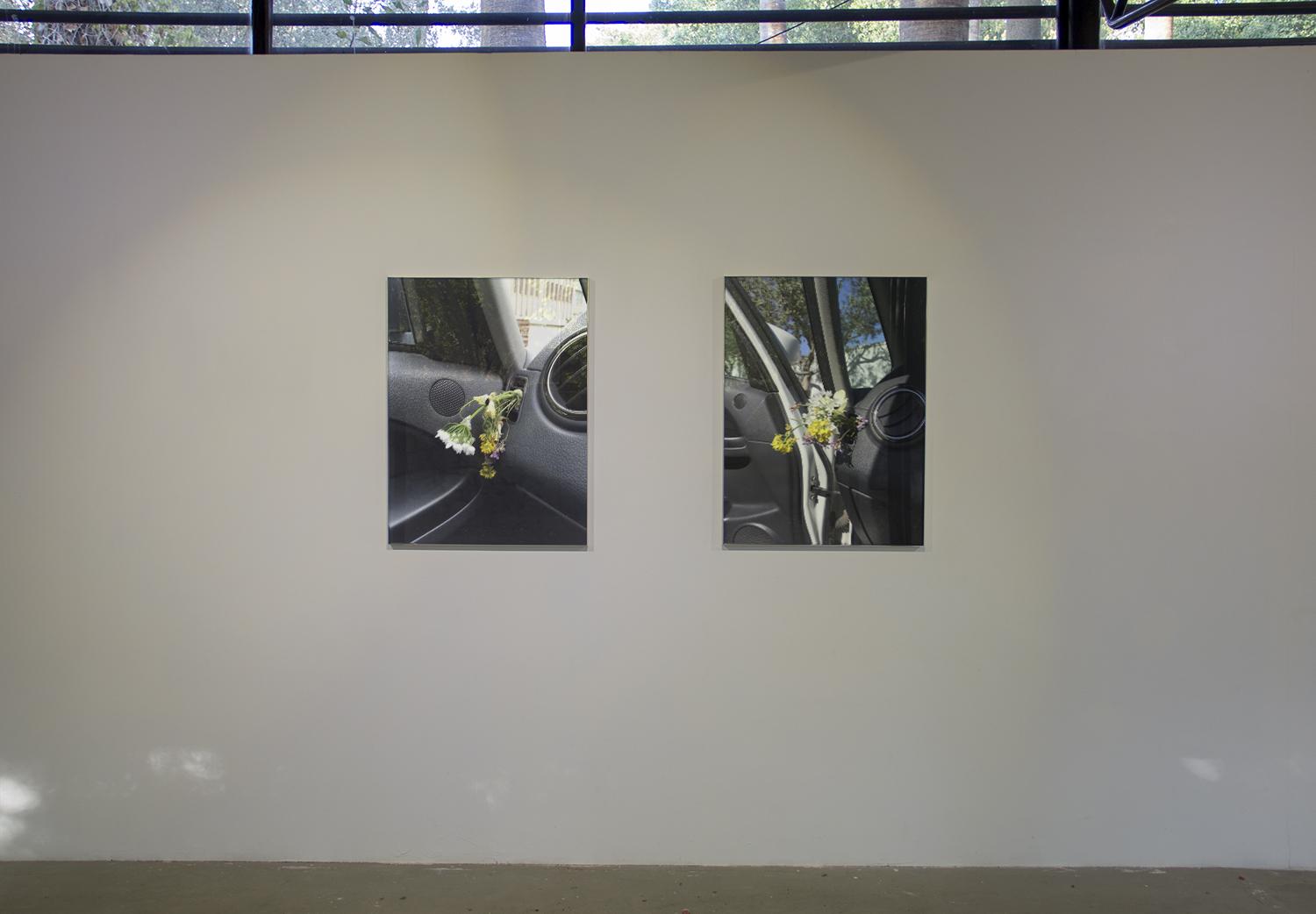 Residents S01: Stories in the Greenhouse