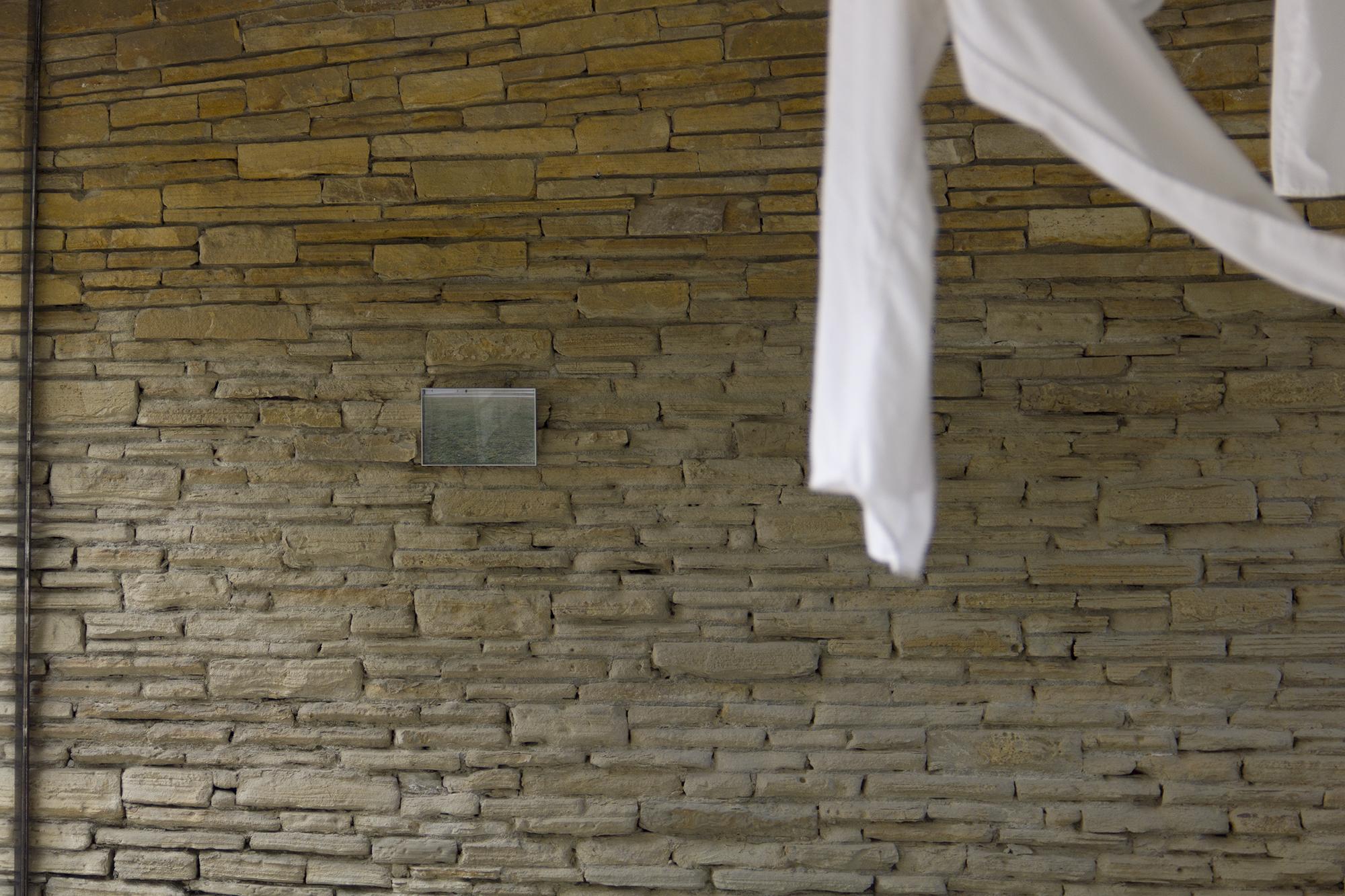 Residents S01: Stories in the Greenhouse