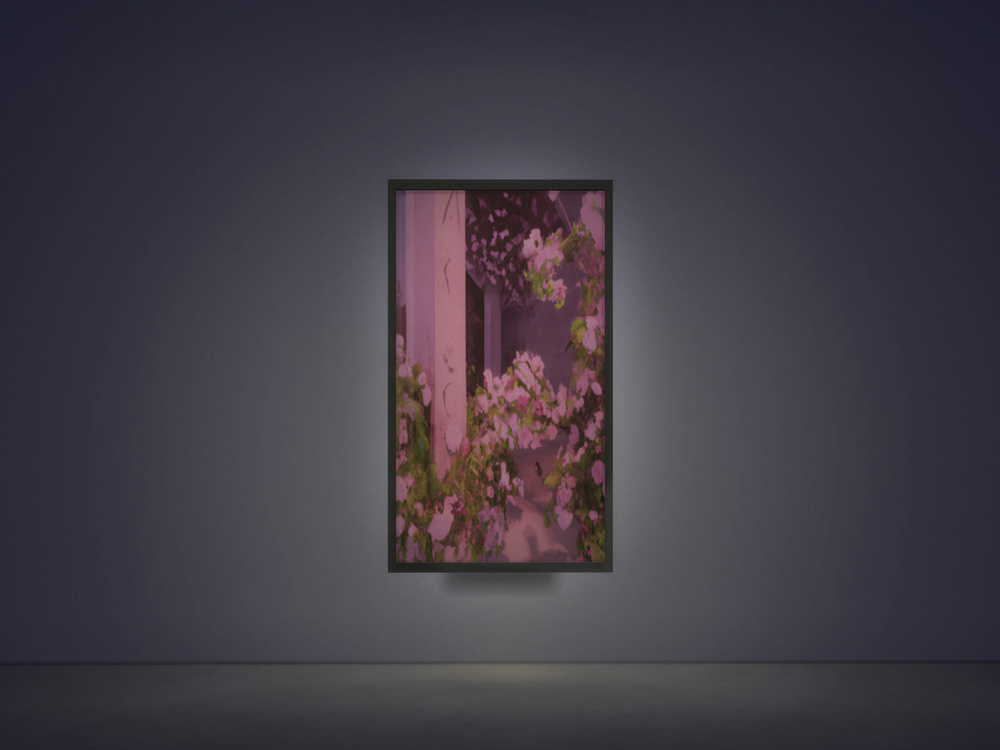 Gniees si gniveileb, gniveileb si gnisnes