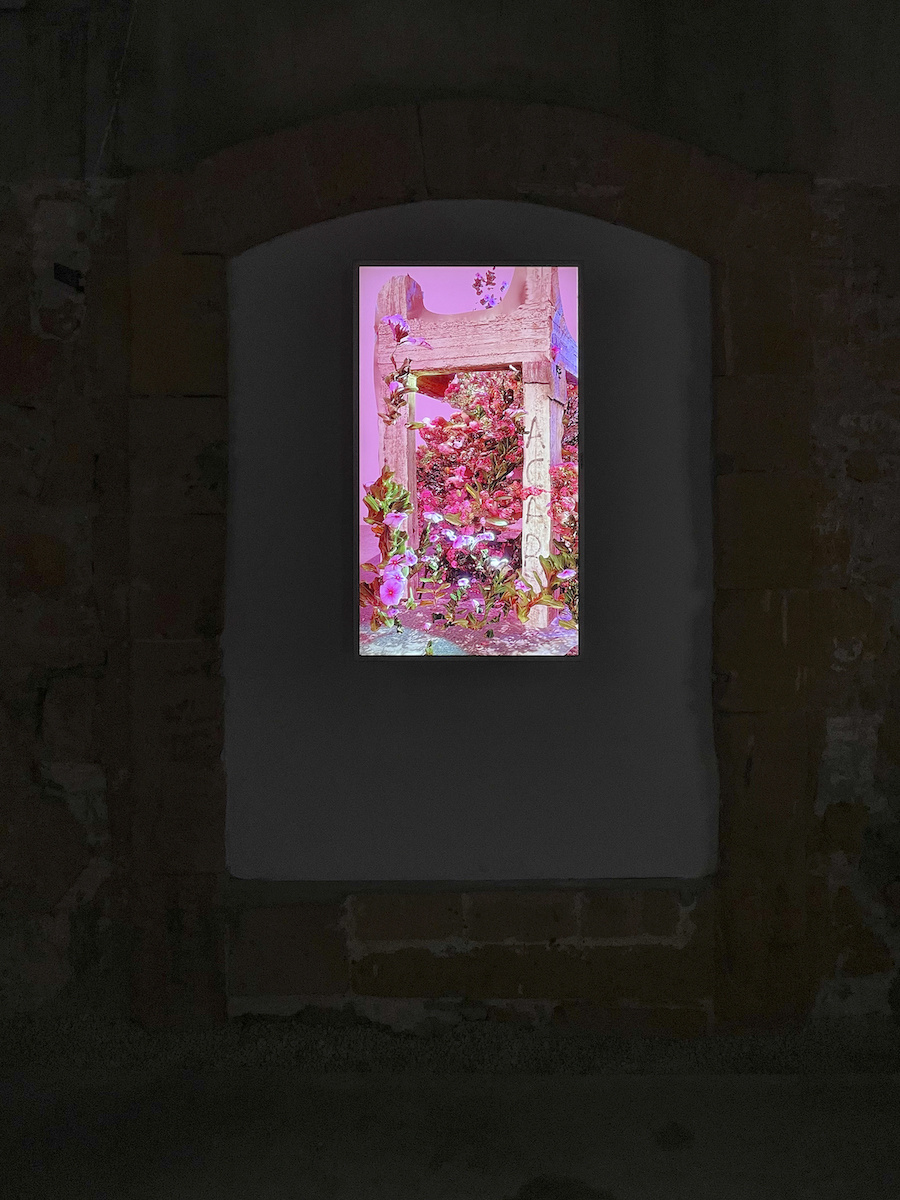 Sensing is believing, believing is seeing