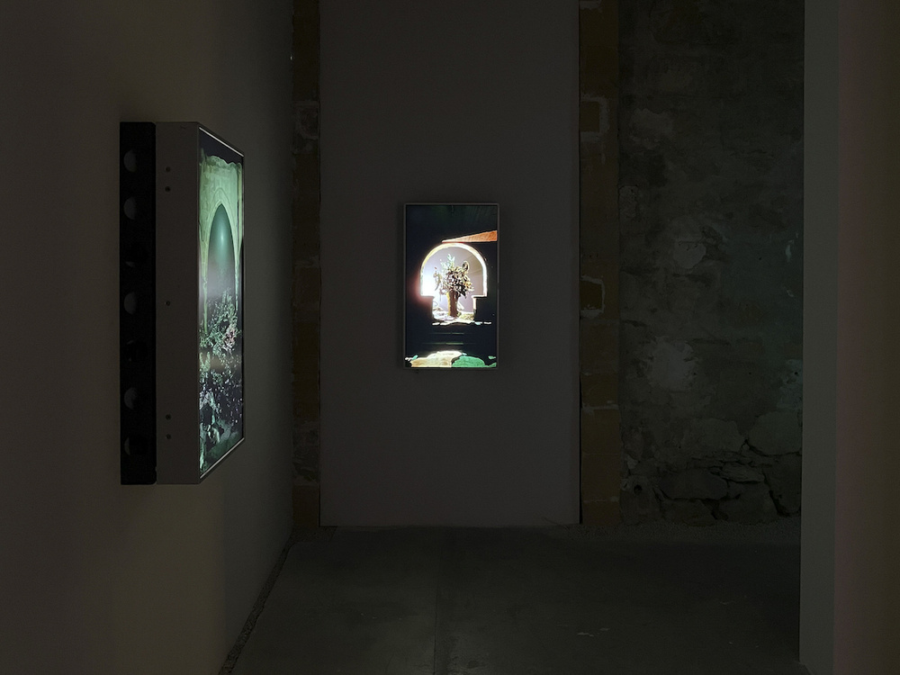 Sensing is believing, believing is seeing