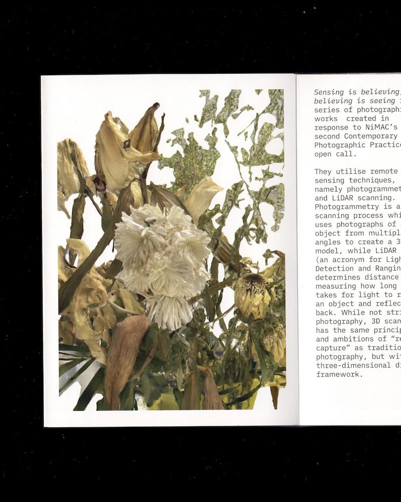 Adonis Archontides: Sensing is Believing, Believing is Seeing