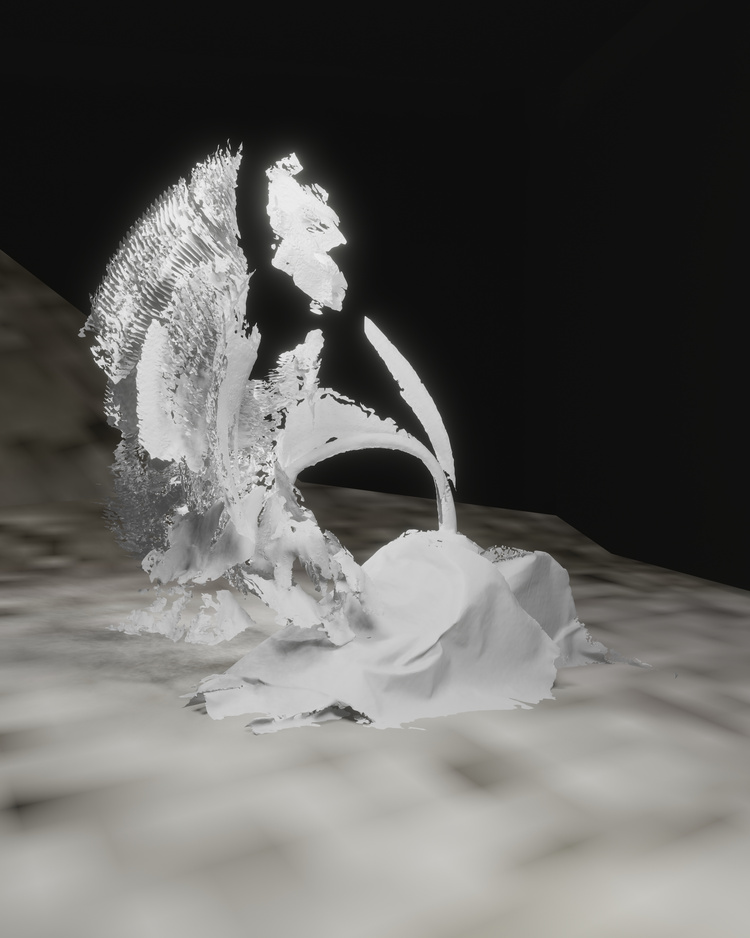 Timelapse Flower (Anemone Coronaria)