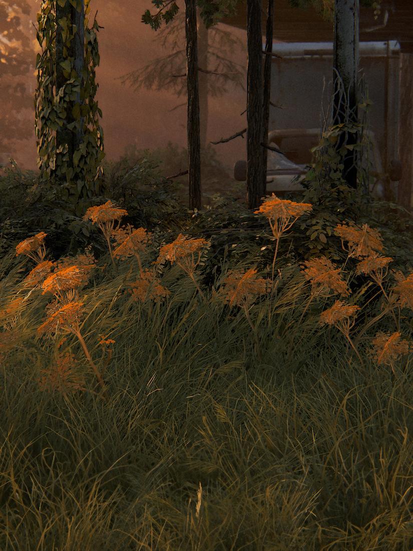 Postcards from Hereafter