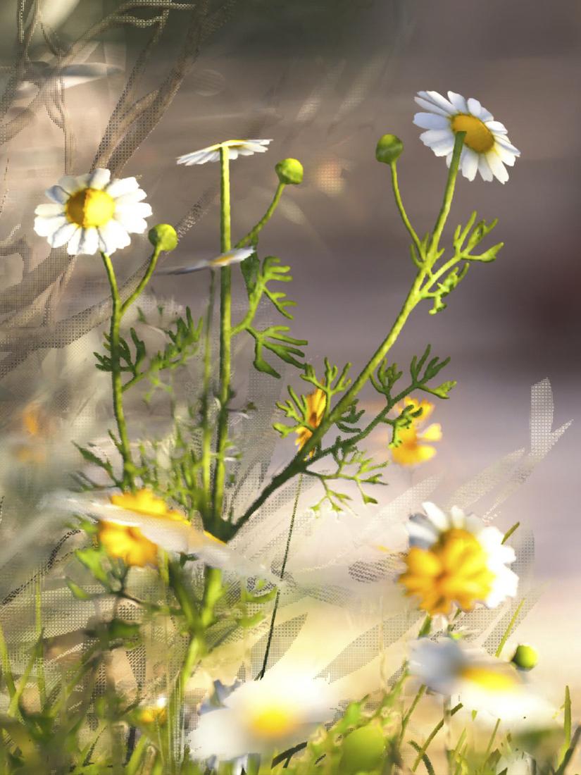 Postcards from Hereafter