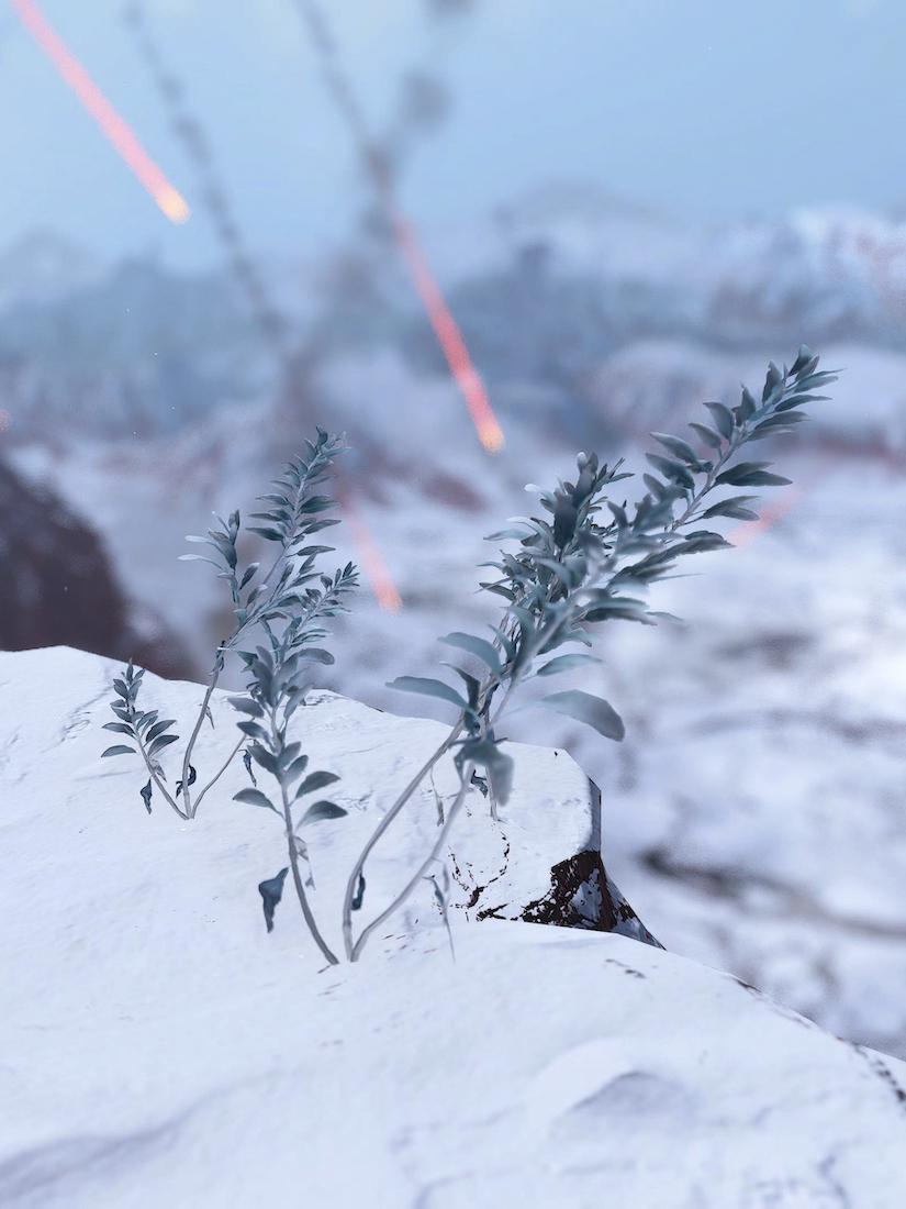 Postcards from Hereafter