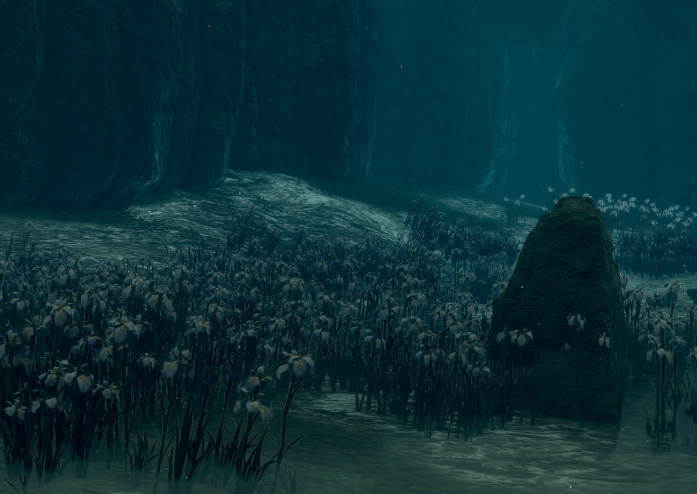 Postcards from Quarantine