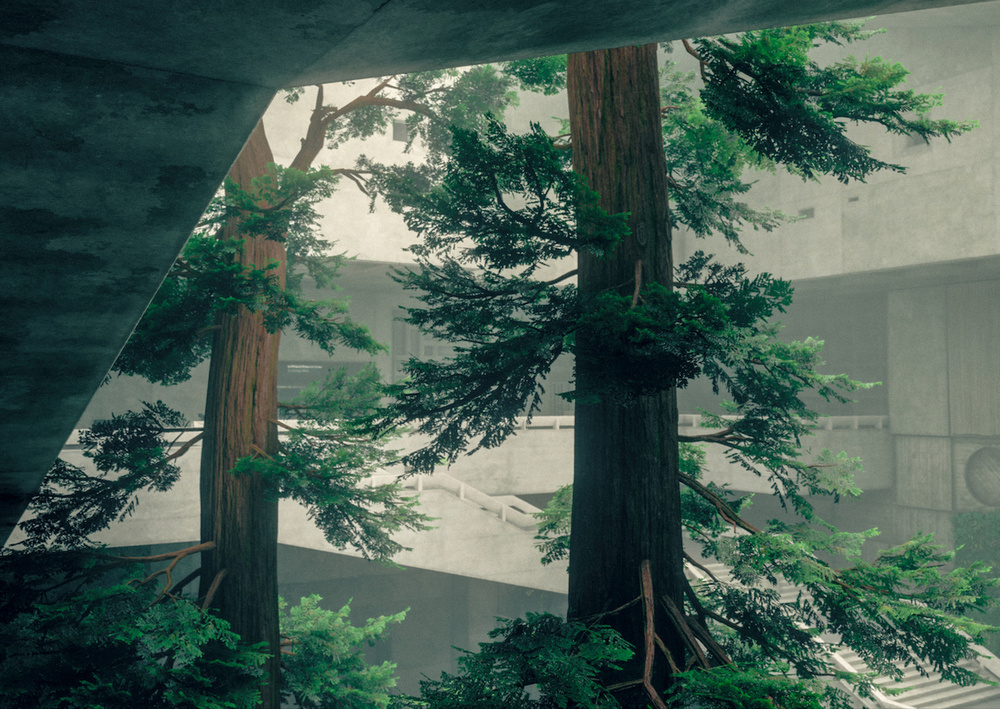 Postcards from Quarantine