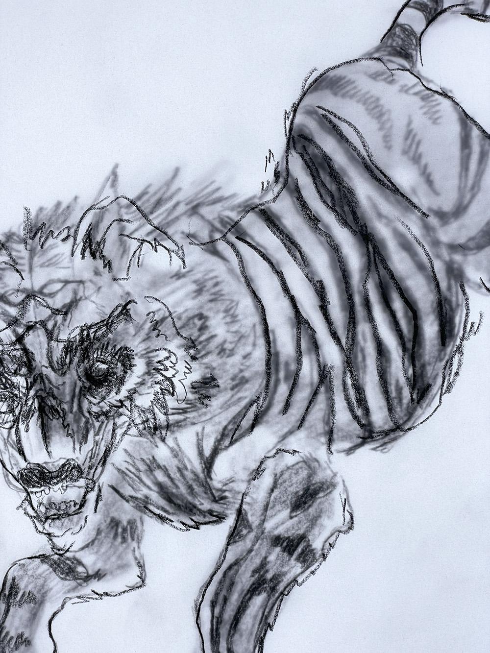 Wolf/Tiger